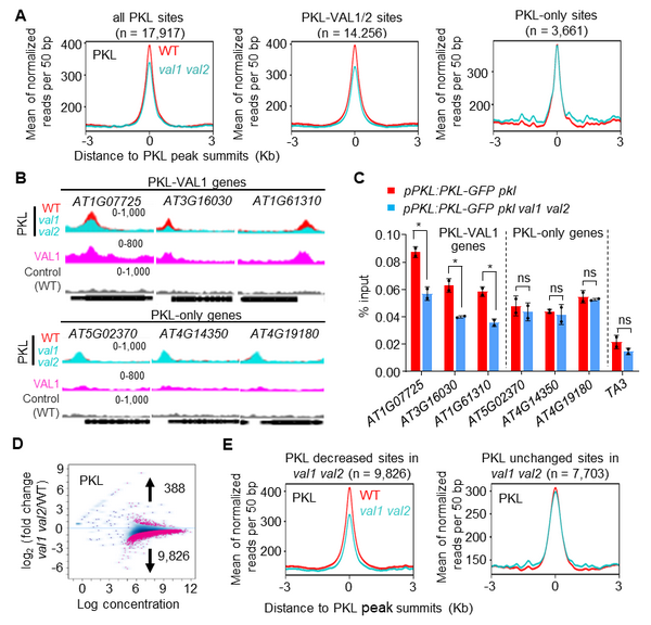 E1A46C34B8A0D670F834BDA32A5_53FA42C7_29FA1