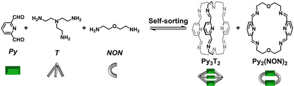 ��ҳ|ng������Ϸ�й����Źٷ���վ