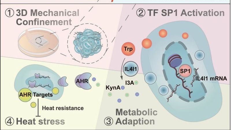 ��ҳ|ng������Ϸ�й����Źٷ���վ