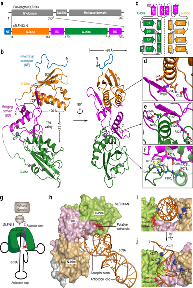 ��ҳ|ng������Ϸ�й����Źٷ���վ