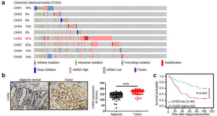 D1AF79371DF707464792E8D2C75_A0E57383_2BE0B D1AF79371DF707464792E8D2C75_A0E57383_2BE0B