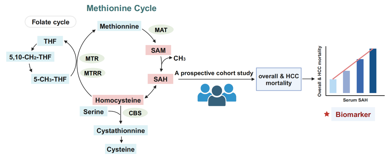 F7BD4E4C8C9C58B4AC6B47D5458_4FFF5D94_14AB6