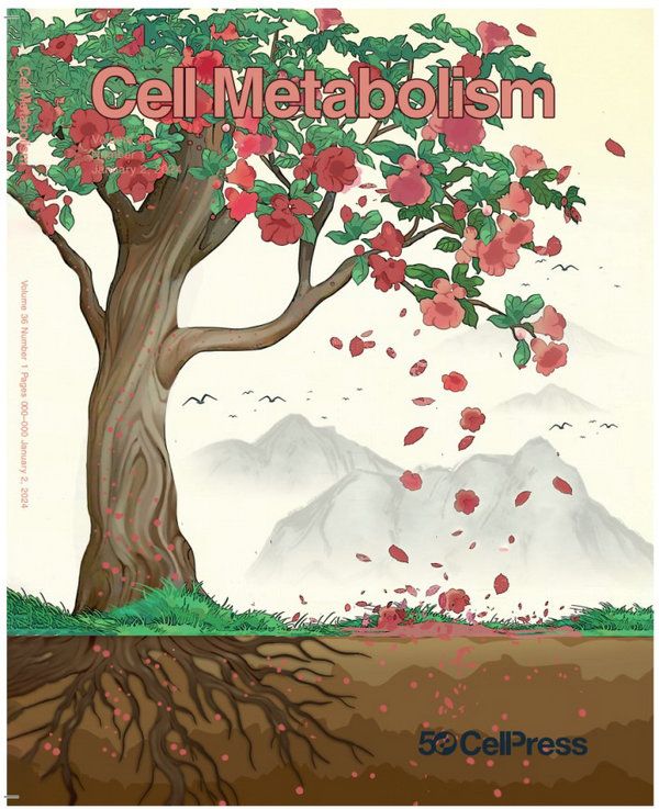 CDD67C5F4DD1EEB07DB01F774AD_CCC3C087_18008