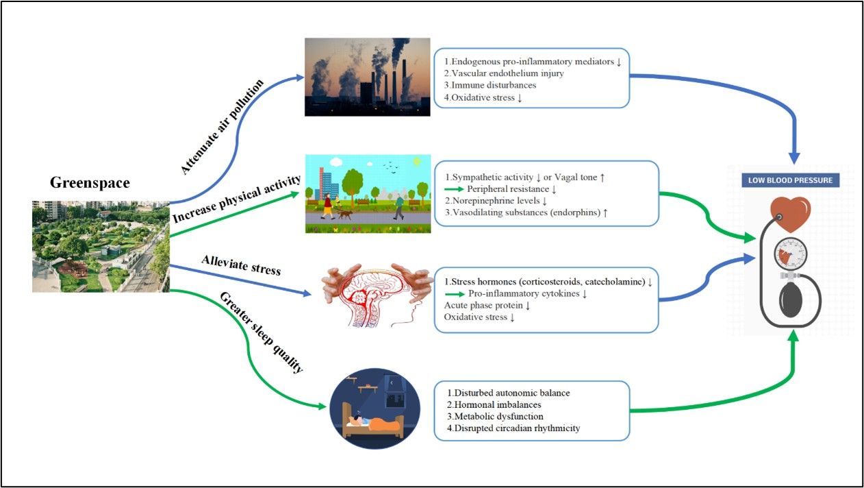 C68A42EED6E5B4B20F8EACFC6B7_0C9ED070_18B07