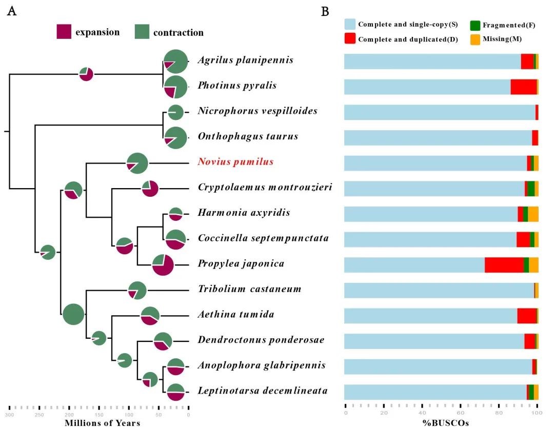 52B57E838E0771ADAAFDCA2C358_5BBFB2C5_1E32A.jpg?e= Ê×Ò³|ngµç×ÓÓÎÏ·Öйú¼¯ÍŹٷ½ÍøÕ¾