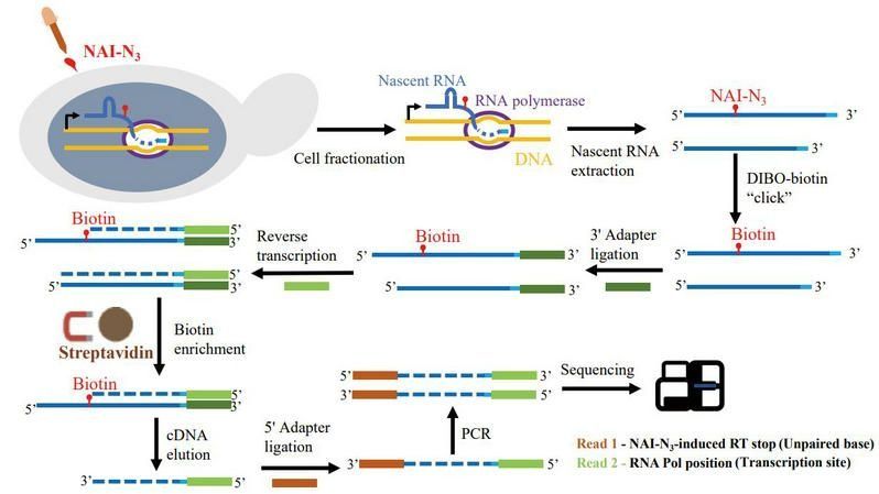 ��ҳ|ng������Ϸ�й����Źٷ���վ