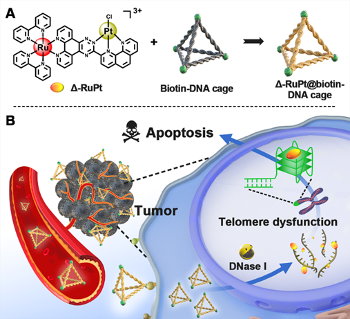 25DC7CD3C57FBF97741D02F3F50_256B5F43_52BDD 25DC7CD3C57FBF97741D02F3F50_256B5F43_52BDD