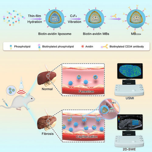 9F4408800B91B62D96C3F0DBB80_FEAB32D6_F858