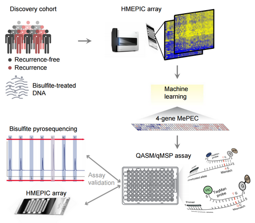 4B54165E315F8964E05B8FC58D7_CC881B02_24A0D