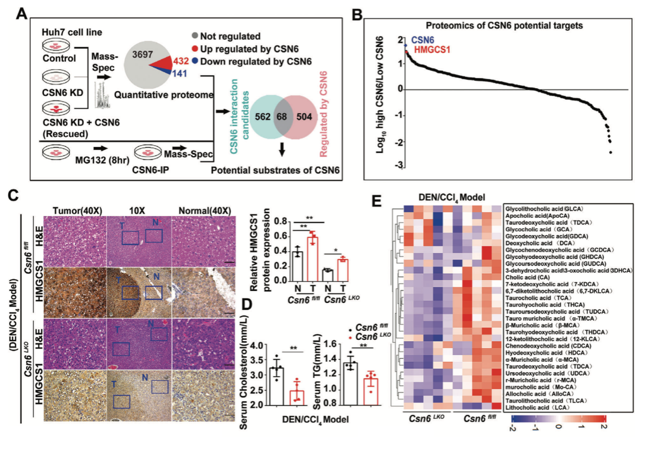 95746A9011B5BA604EB1DC5C478_DC1B47E0_124150