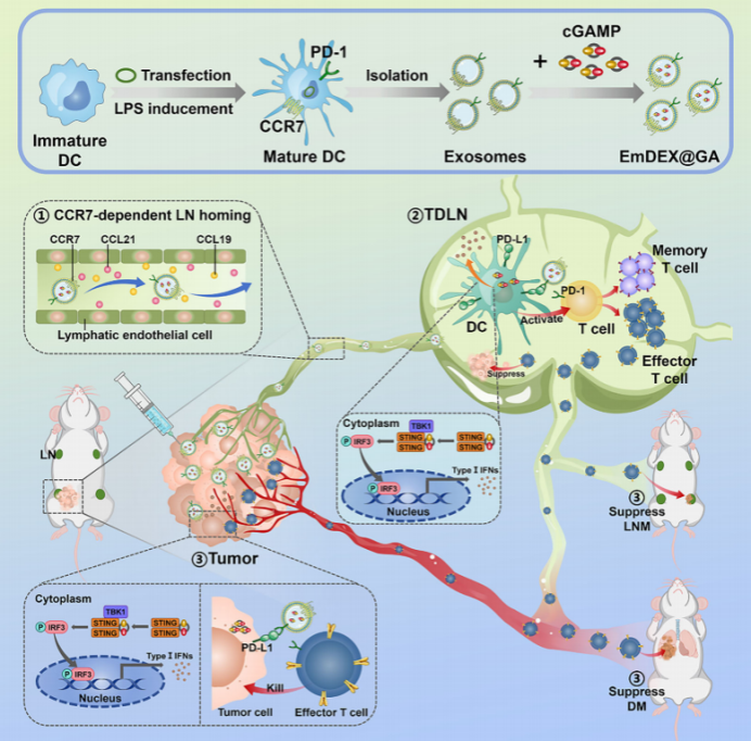 B3B16426FBFBD5D2301BE9AED27_BD6D5114_940D5 B3B16426FBFBD5D2301BE9AED27_BD6D5114_940D5