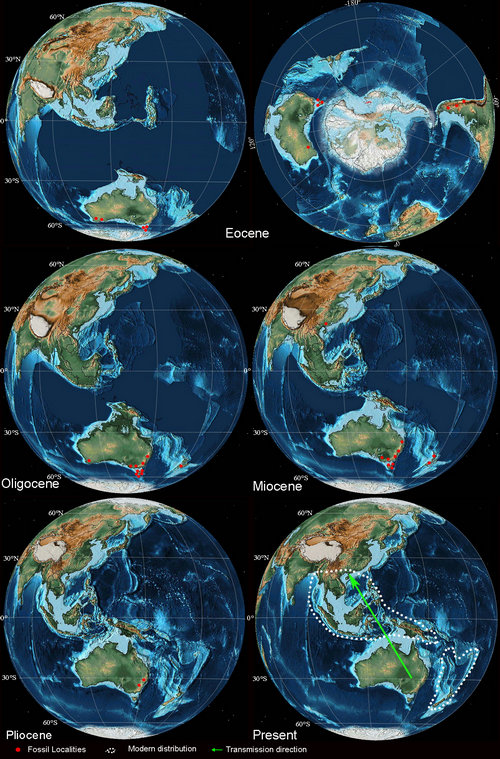 ��ҳ|ng������Ϸ�й����Źٷ���վ