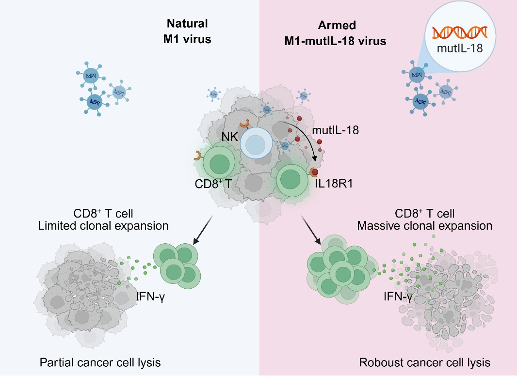 A76CE275E74B98DA76F026BAF04_B420F886_7A647