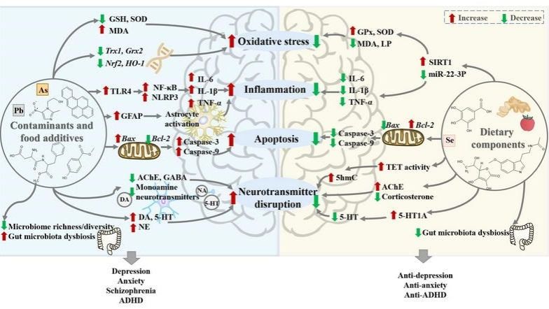 ��ҳ|ng������Ϸ�й����Źٷ���վ