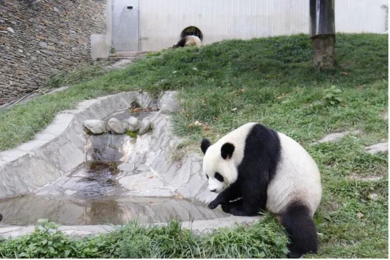 9C8D209A2559EEF3092BA4AF5BD_342CFA0F_15A29