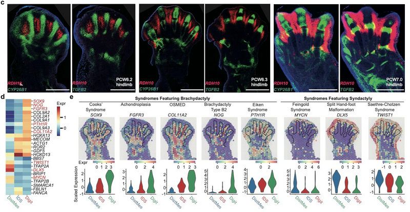 A98FE9DE8AB0CB7D769A2C154BD_17306E8D_16142