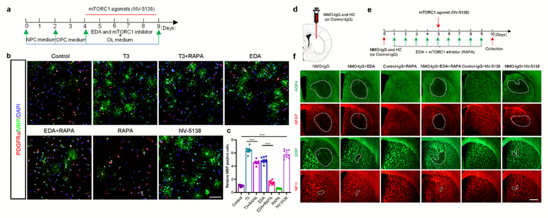 675870A8C4B0EE8BD3031E0BC8E_1AE59452_50AA1 675870A8C4B0EE8BD3031E0BC8E_1AE59452_50AA1