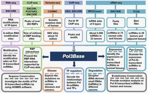 ��ҳ|ng������Ϸ�й����Źٷ���վ