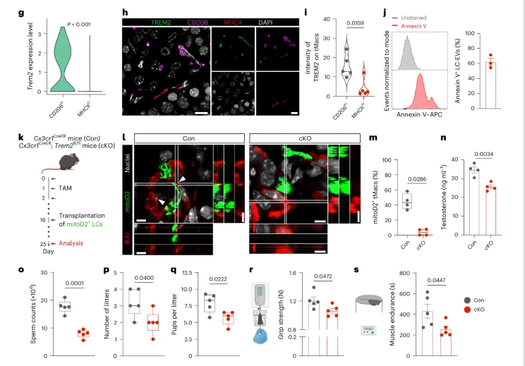 ��ҳ|ng������Ϸ�й����Źٷ���վ
