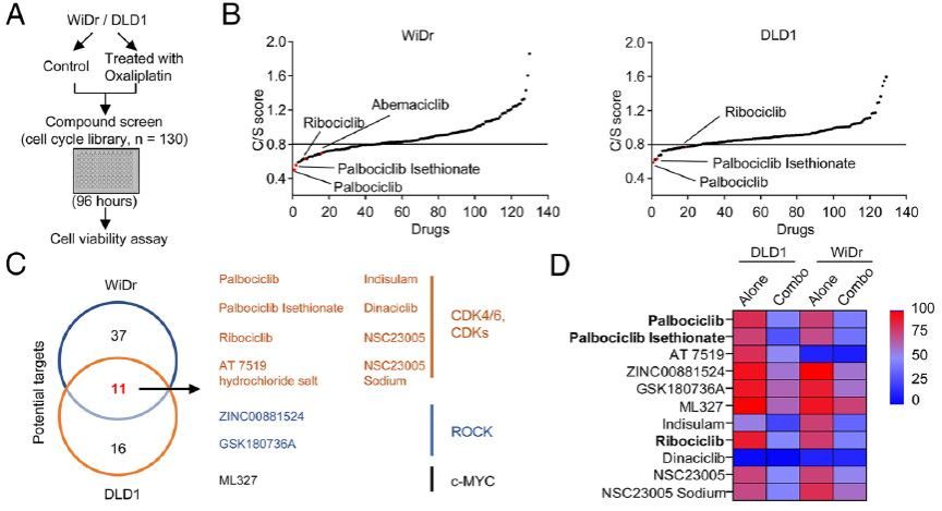 D910A6CFB4D5FFD9D5D9F2F7876_19A8E3B9_EED8