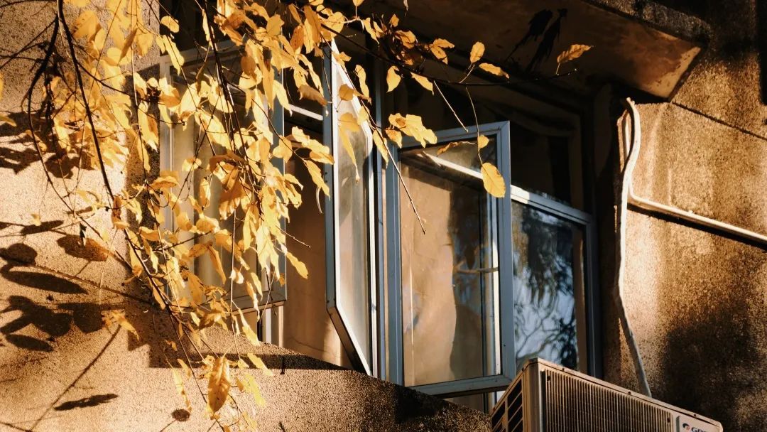 2293B3AF57A2E2279A75A14CA5D_9627B0D0_2A566 ͼƬ