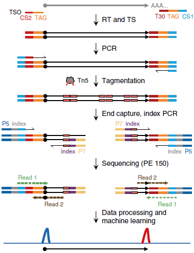B526D2A60F180043A31B1CFCF39_E2AEEA30_8087.png?e= Ê×Ò³|ngµç×ÓÓÎÏ·Öйú¼¯ÍŹٷ½ÍøÕ¾