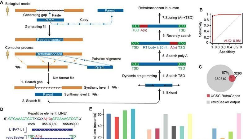 ��ҳ|ng������Ϸ�й����Źٷ���վ