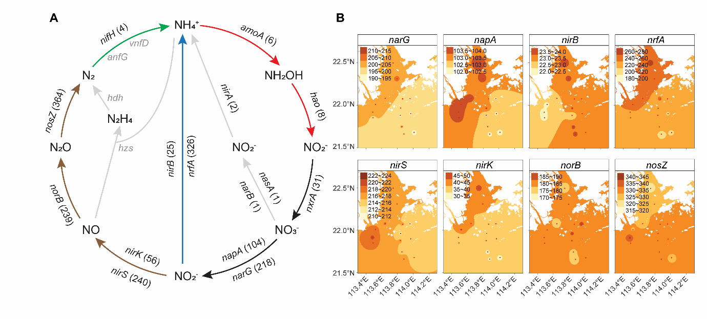 ��ҳ|ng������Ϸ�й����Źٷ���վ