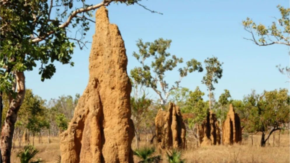 0D23D063A338B97FF5FC32611A4_82499035_16D71