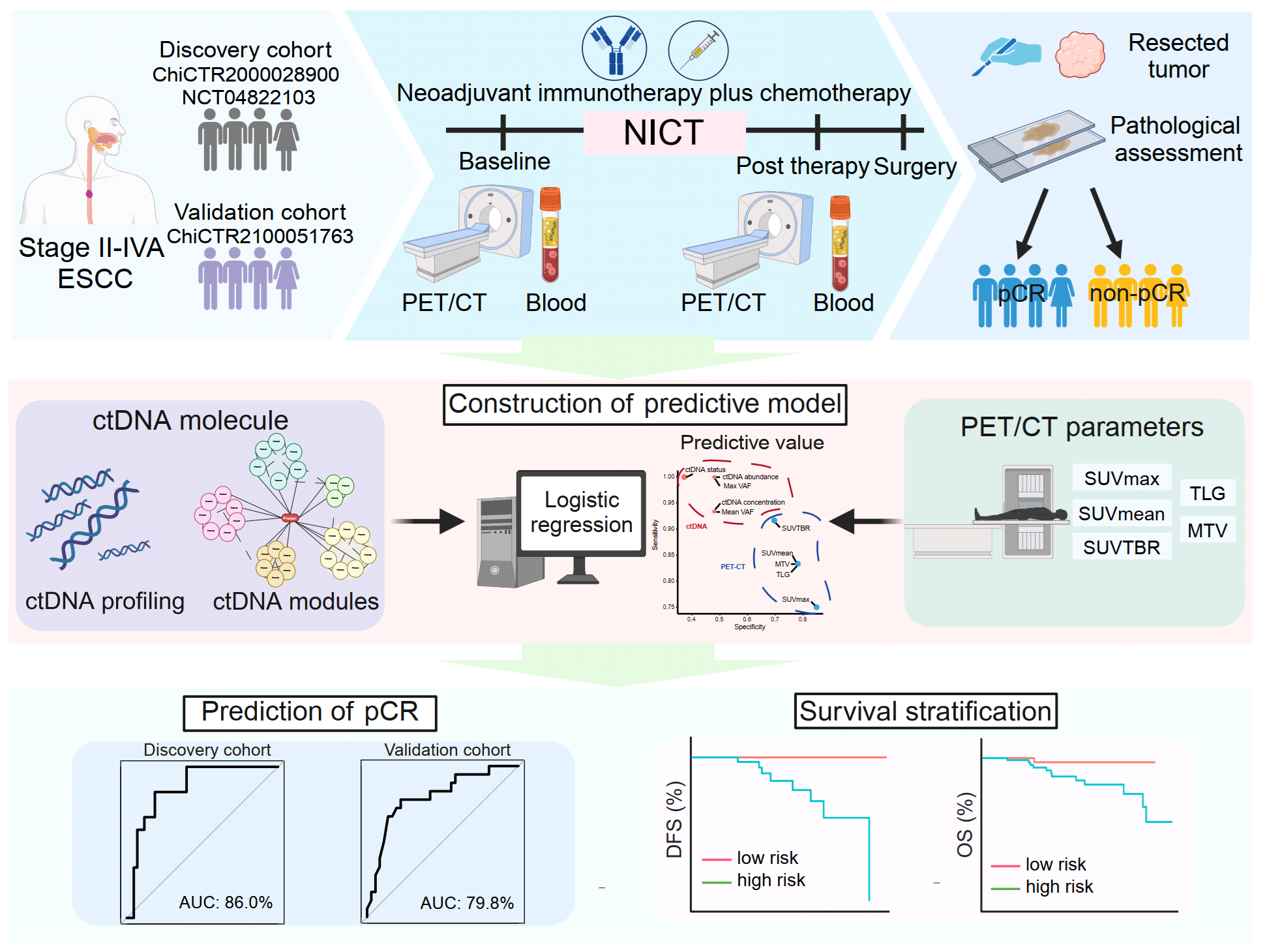 B01E58EB534021B2DB5E5219202_0F464A02_7828B
