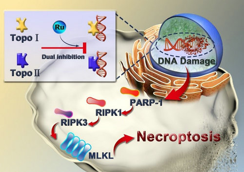 ��ҳ|ng������Ϸ�й����Źٷ���վ