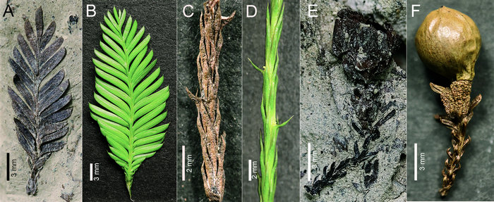 ��ҳ|ng������Ϸ�й����Źٷ���վ