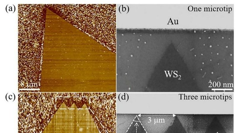 ��ҳ|ng������Ϸ�й����Źٷ���վ