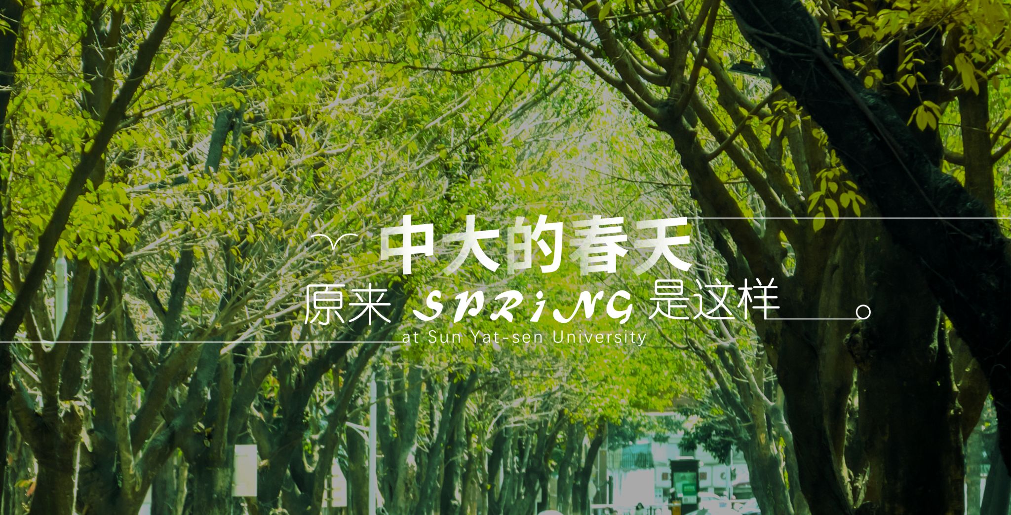 ��ҳ|ng������Ϸ�й����Źٷ���վ