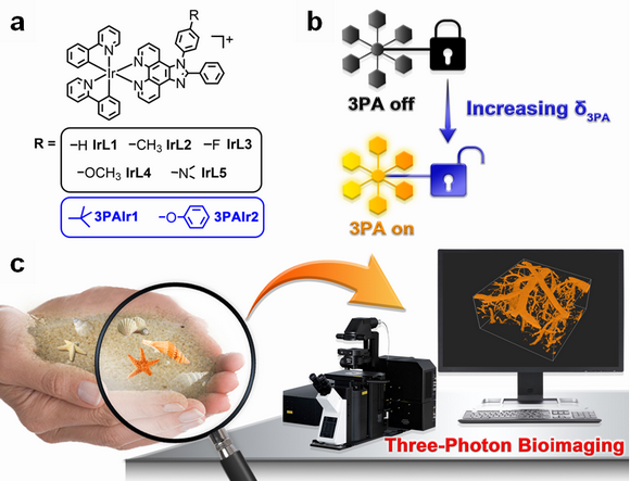 ��ҳ|ng������Ϸ�й����Źٷ���վ