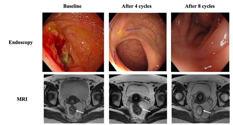 FB77FCFBF301911DCC650A3CC70_268EC200_E6DD