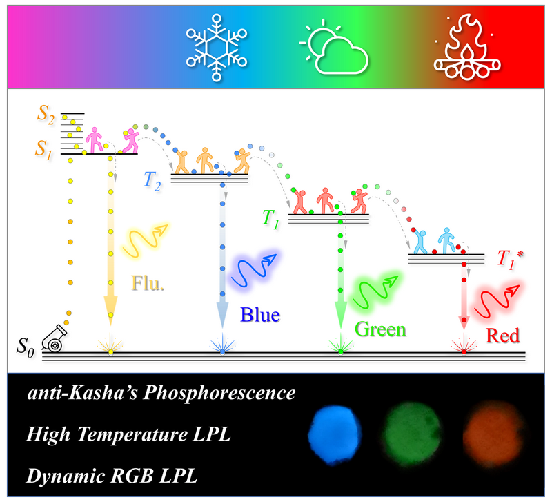 4612644A2460D41F6A9211B13B6_7A00EE17_481F2