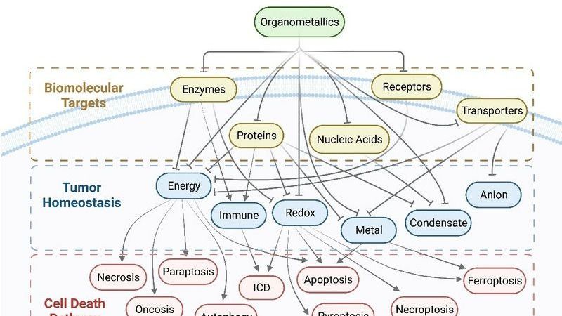 ��ҳ|ng������Ϸ�й����Źٷ���վ