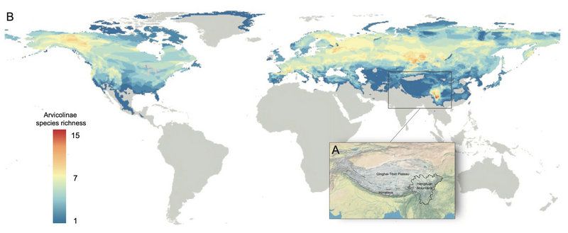 9A842668AE62D0F8C14DFC3400D_F96A3725_88F8 9A842668AE62D0F8C14DFC3400D_F96A3725_88F8