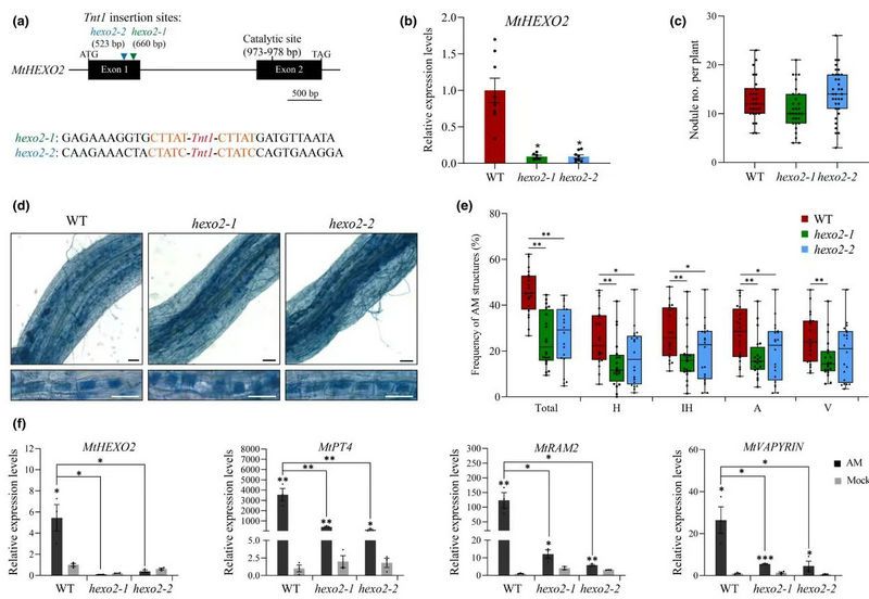 DD0E6B4A8821C3D096CD2141522_701C8A2A_125CB DD0E6B4A8821C3D096CD2141522_701C8A2A_125CB