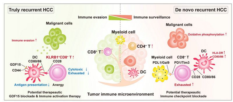 011FE5CC3138C263E663FD28495_F2304992_D02F 011FE5CC3138C263E663FD28495_F2304992_D02F