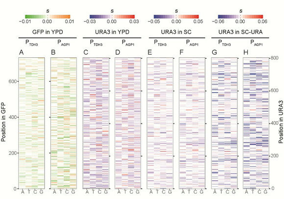 ��ҳ|ng������Ϸ�й����Źٷ���վ