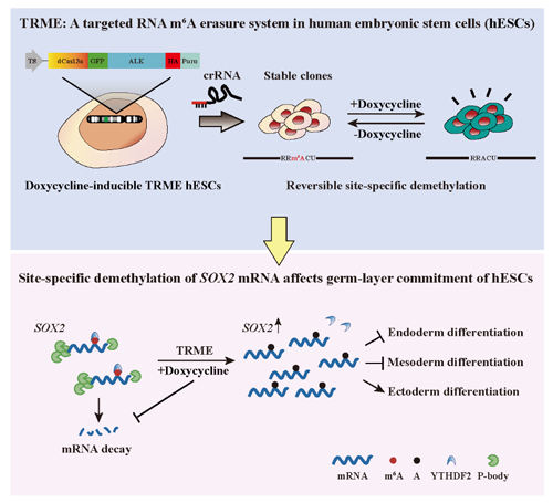 ��ҳ|ng������Ϸ�й����Źٷ���վ