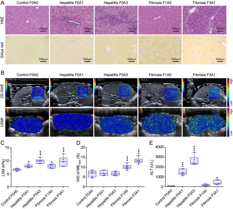 9FF9B6A57A5821210D1305713CC_894E128F_CE646