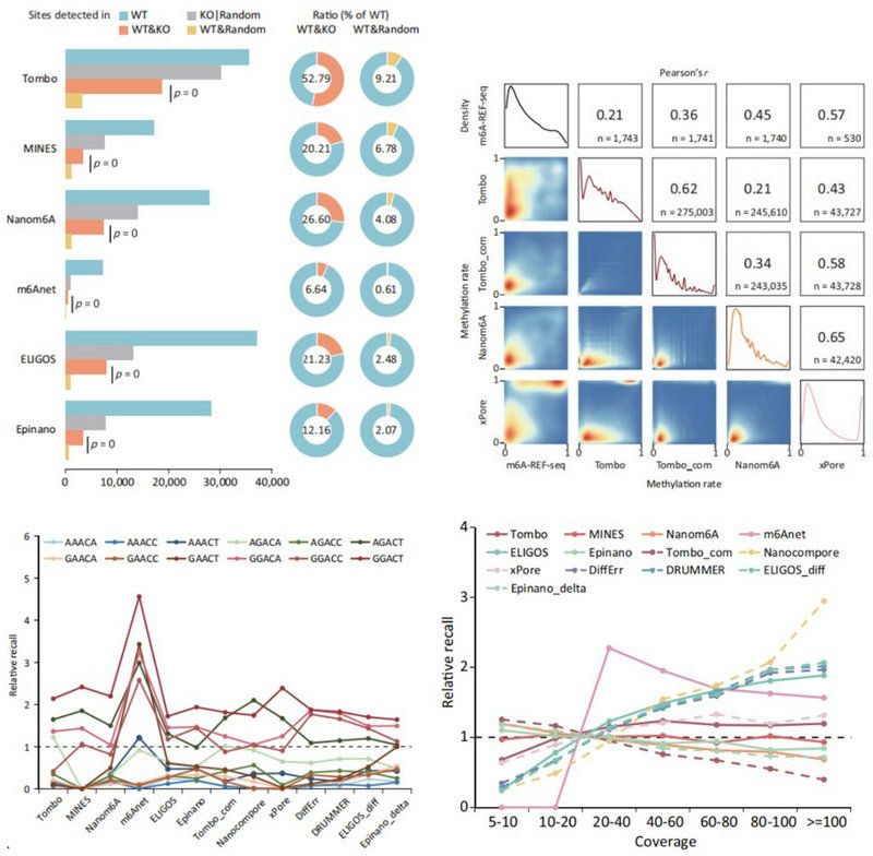 C9082AF4FD30EC9D23EECC13A0F_2F46375E_17C73 C9082AF4FD30EC9D23EECC13A0F_2F46375E_17C73