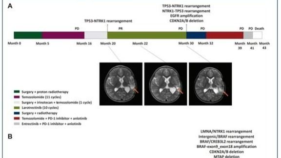 ��ҳ|ng������Ϸ�й����Źٷ���վ