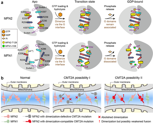 ��ҳ|ng������Ϸ�й����Źٷ���վ