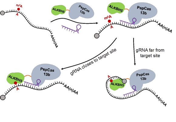 ��ҳ|ng������Ϸ�й����Źٷ���վ