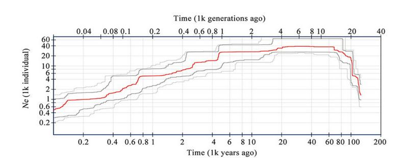 C611F8F0DBAED226C0066D4E6E6_FEBC4D0A_894D