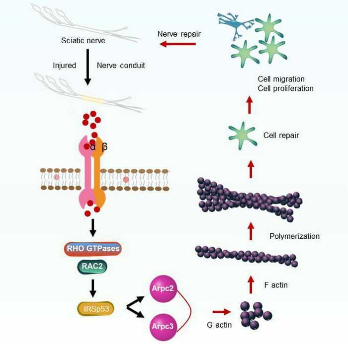 8701180D8D82F41F0441D1A436C_CF9E3B52_B9DA